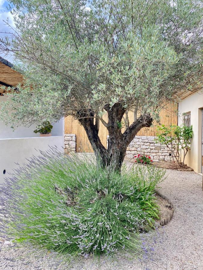 Le Cabanon Valbonne Apartment Luaran gambar